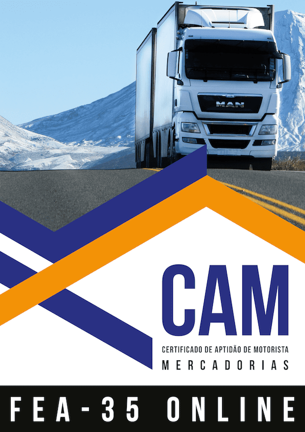 CAM FEA M ONLINE©Transform2021-23