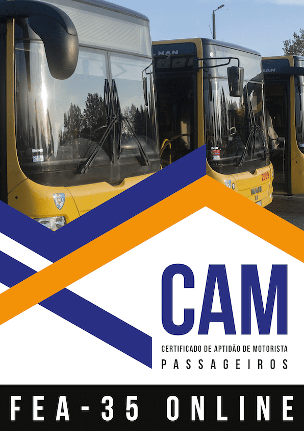 CAM FEA P ONLINE©Transform2021-23